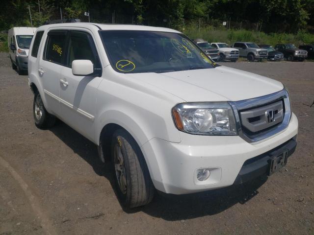 HONDA PILOT EXL 2009 with VIN 5FNYF48679B028510 - Photo from auction