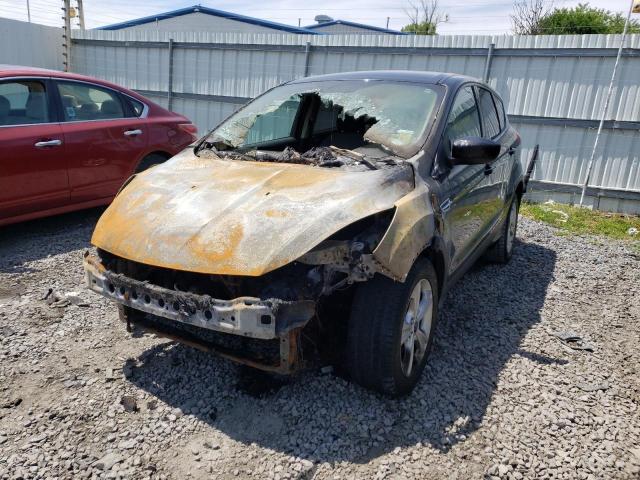 Photo 2 from auction – 2014 FORD ESCAPE SE with VIN 1FMCU9GX2EUC48691
