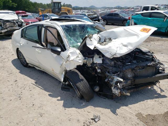 NISSAN MAXIMA SE 2005 with VIN 1N4BA41E35C847596 - Photo from auction