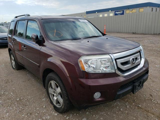 HONDA PILOT EXL 2011 with VIN 5FNYF4H55BB021021 - Photo from auction
