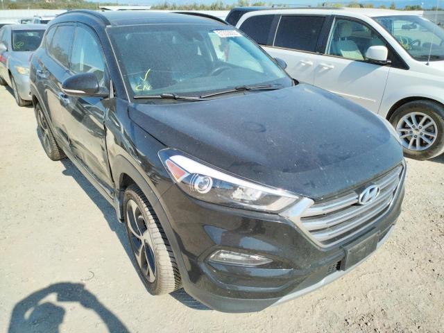 HYUNDAI TUCSON LIM 2017 with VIN KM8J3CA24HU365567 - Photo from auction