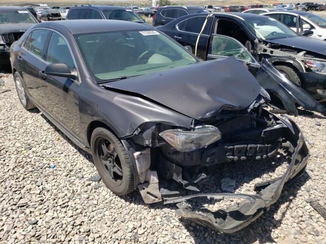 CHEVROLET MALIBU LS 2011 with VIN 1G1ZA5EU0BF207154 - Photo from auction