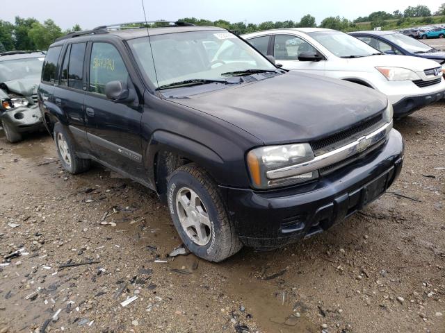 CHEVROLET TRAILBLAZE 2004 with VIN 1GNDT13S542223700 - Photo from auction
