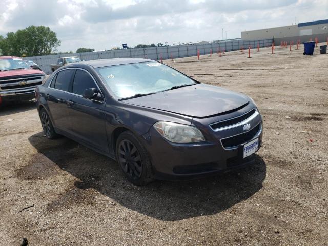 CHEVROLET MALIBU LS 2011 with VIN 1G1ZA5EU5BF165340 - Photo from auction