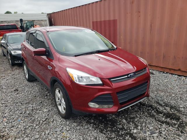FORD ESCAPE SE 2014 with VIN 1FMCU0GX4EUD29221 - Photo from auction