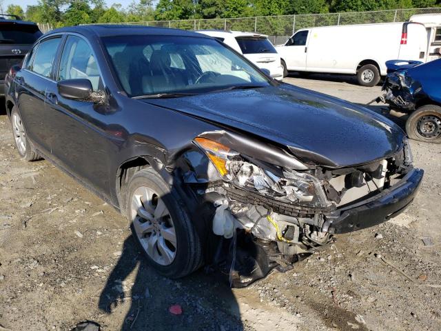 HONDA ACCORD EXL 2010 with VIN 1HGCP2F84AA167203 - Photo from auction