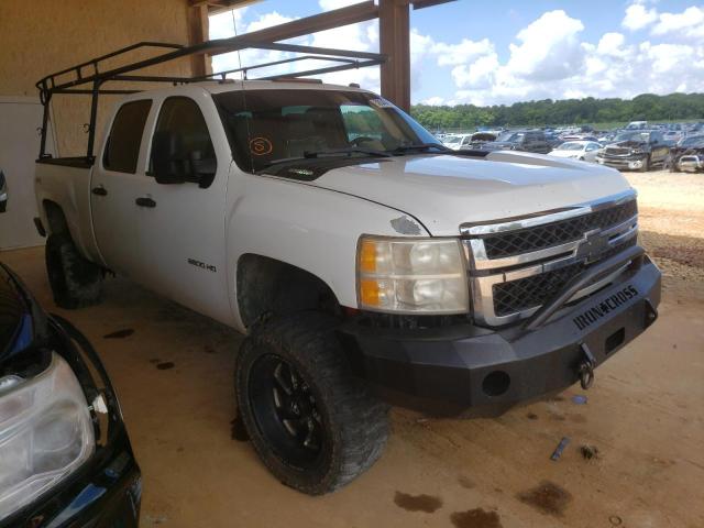 CHEVROLET SILVERADO 2011 with VIN 1GC1KVCG2BF243216 - Photo from auction