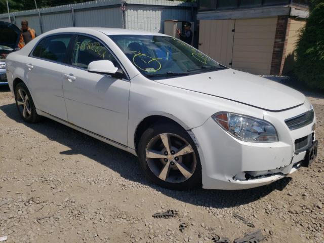 CHEVROLET MALIBU 1LT 2011 with VIN 1G1ZC5E16BF170434 - Photo from auction
