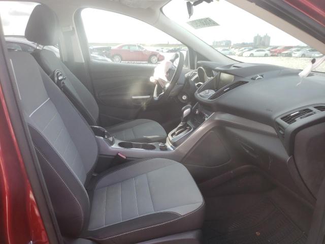 Photo 5 from auction – 2013 FORD ESCAPE SE with VIN 1FMCU0GXXDUC41563