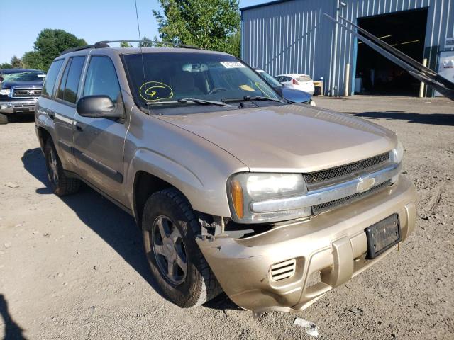 CHEVROLET TRAILBLAZE 2005 with VIN 1GNDT13S852350927 - Photo from auction