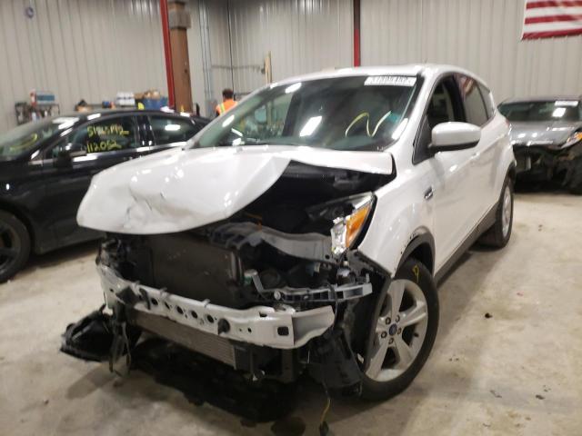 Photo 2 from auction – 2014 FORD ESCAPE SE with VIN 1FMCU0G98EUD98818