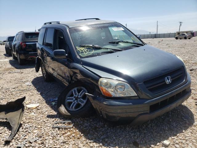 HONDA PILOT EXL 2005 с VIN 5FNYF18535B009291 - Фото с аукциона