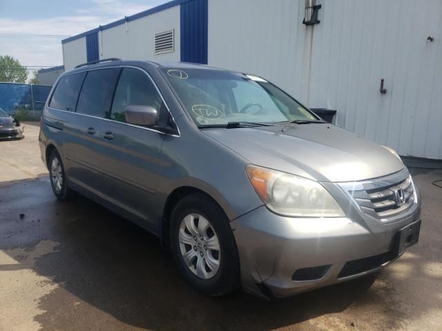 HONDA ODYSSEY EX 2009 with VIN 5FNRL38409B501556 - Photo from auction