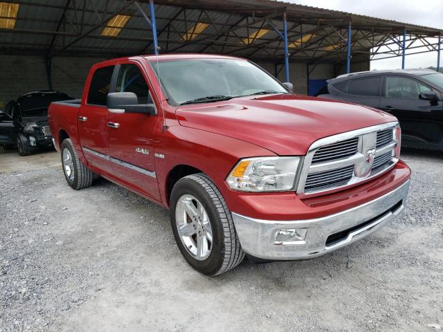 DODGE RAM 1500 2010 with VIN 1D7RB1CT0AS134757 - Photo from auction