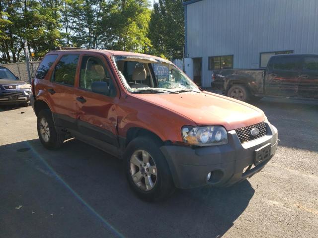 FORD ESCAPE XLT 2007 with VIN 1FMYU03157KA19097 - Photo from auction