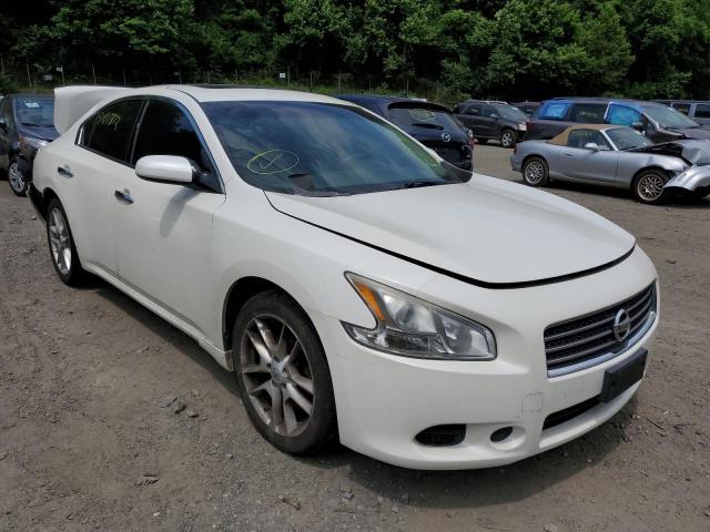NISSAN MAXIMA S 2011 with VIN 1N4AA5AP2BC821683 - Photo from auction
