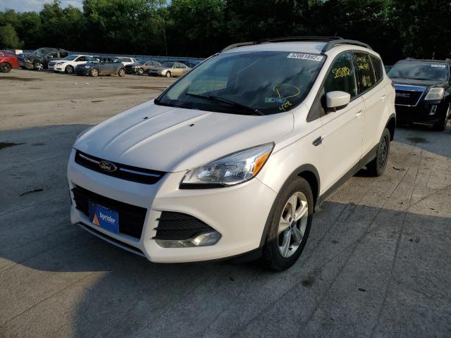 Photo 2 from auction – 2014 FORD ESCAPE SE with VIN 1FMCU0G97EUB37440