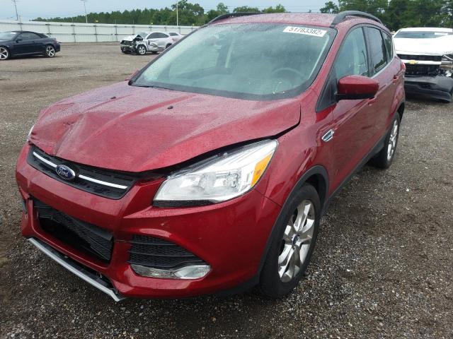 Photo 2 from auction – 2014 FORD ESCAPE SE with VIN 1FMCU0GX9EUC15652