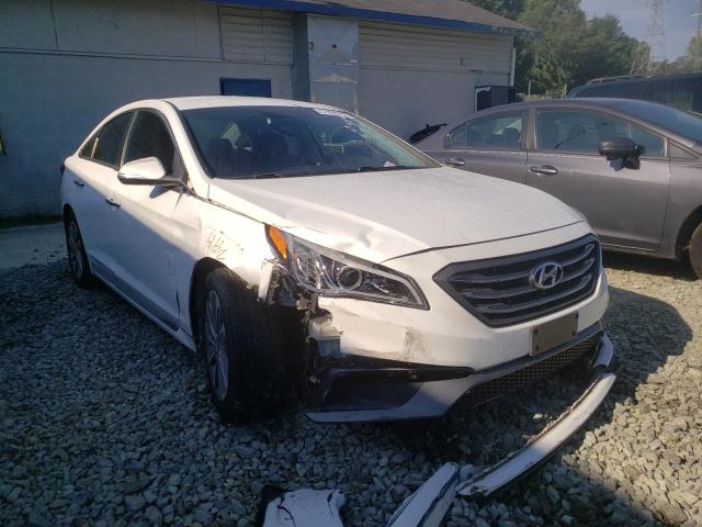 HYUNDAI SONATA SPO 2015 with VIN 5NPE34AF3FH093213 - Photo from auction