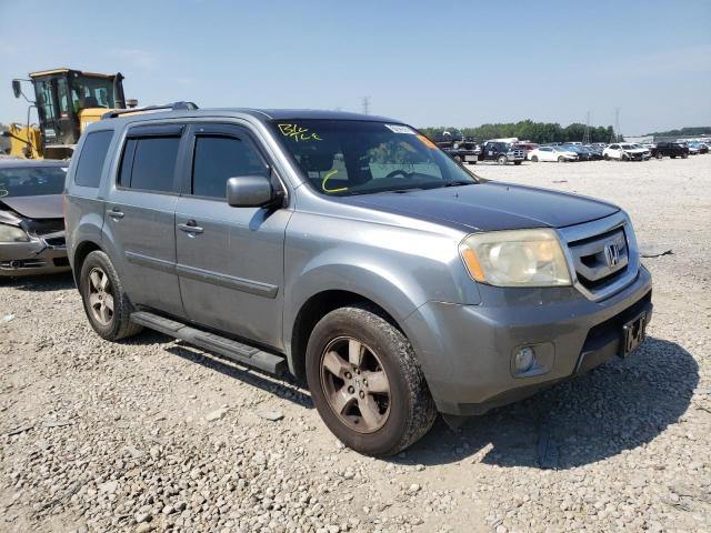 HONDA PILOT EXL 2009 with VIN 5FNYF38639B007020 - Photo from auction