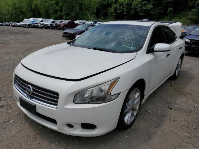 Photo 2 from auction – 2011 NISSAN MAXIMA S with VIN 1N4AA5AP2BC821683