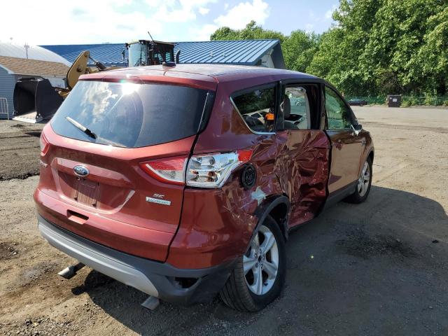 Photo 4 from auction – 2014 FORD ESCAPE SE with VIN 1FMCU0GX2EUC09028