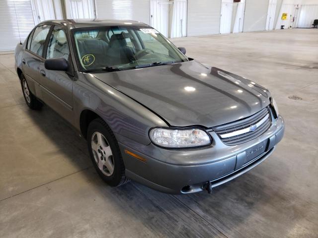 CHEVROLET MALIBU 2005 with VIN 1G1ND52F05M191548 - Photo from auction