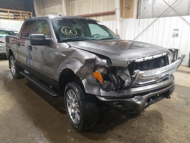 FORD F150 SUPER 2014 with VIN 1FTFW1EF9EFC00486 - Photo from auction