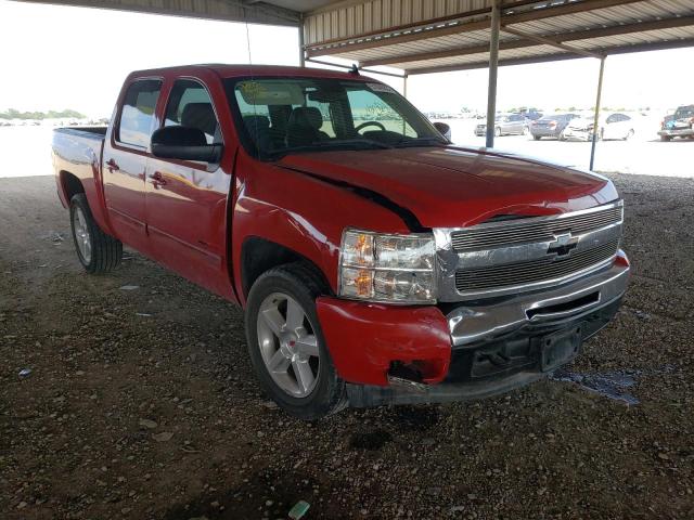 CHEVROLET SILVERADO 2008 with VIN 2GCFC13Y781136568 - Photo from auction