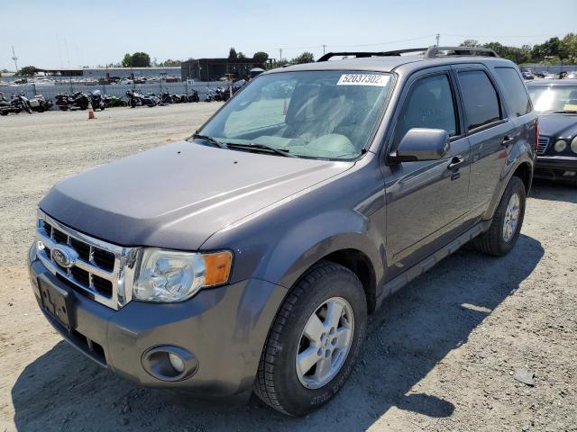 Photo 2 from auction – 2010 FORD ESCAPE XLT with VIN 1FMCU0DG3AKA72207