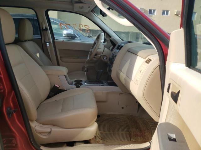 Photo 5 from auction – 2009 FORD ESCAPE XLT with VIN 1FMCU03G99KA44084