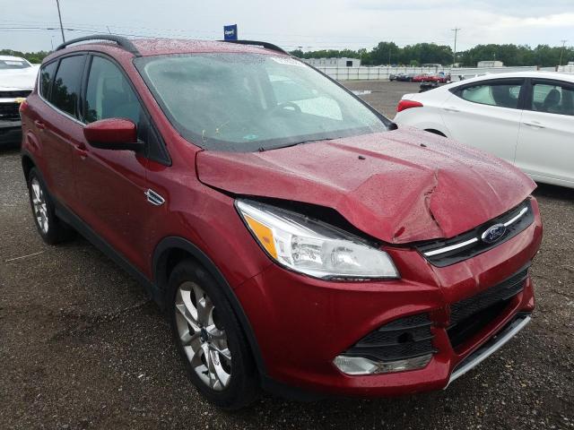 FORD ESCAPE SE 2014 with VIN 1FMCU0GX9EUC15652 - Photo from auction