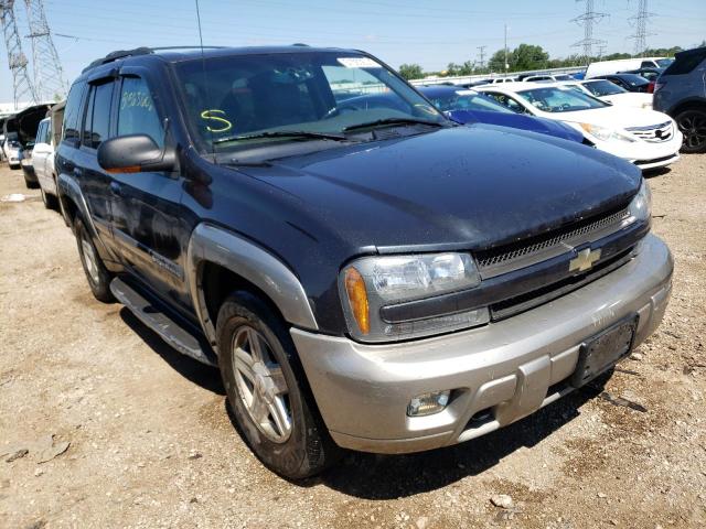 CHEVROLET TRAILBLAZE 2003 with VIN 1GNDT13S832182932 - Photo from auction