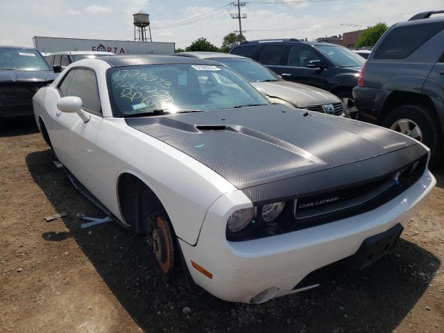 DODGE CHALLENGER 2013 with VIN 2C3CDYAG3DH540749 - Photo from auction