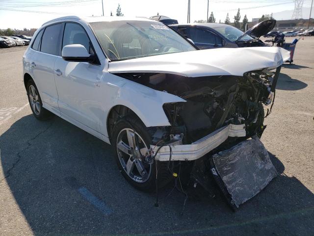AUDI Q5 PREMIUM 2012 with VIN WA1DKAFP8CA103939 - Photo from auction