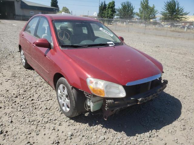 KIA SPECTRA EX 2008 with VIN KNAFE122585579188 - Photo from auction