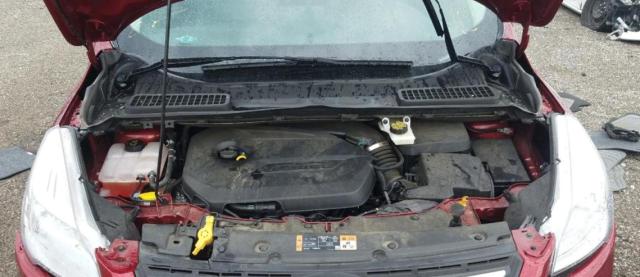 Photo 7 from auction – 2014 FORD ESCAPE SE with VIN 1FMCU0GX9EUC15652