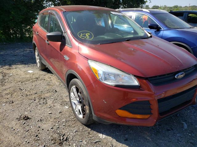 FORD ESCAPE S 2014 with VIN 1FMCU0F71EUB68408 - Photo from auction