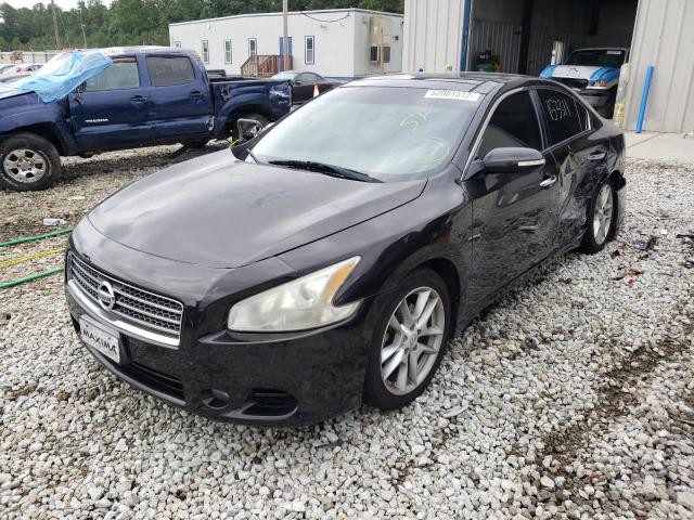 Photo 2 from auction – 2010 NISSAN MAXIMA with VIN 1N4AA5AP1AC846816