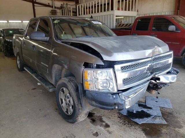CHEVROLET SILVERADO 2013 with VIN 3GCPCSE04DG103594 - Photo from auction