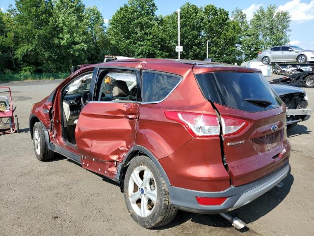 Photo 3 from auction – 2014 FORD ESCAPE SE with VIN 1FMCU0GX2EUC09028