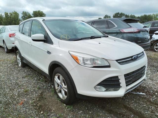 FORD ESCAPE SE 2013 with VIN 1FMCU0GX5DUD13530 - Photo from auction