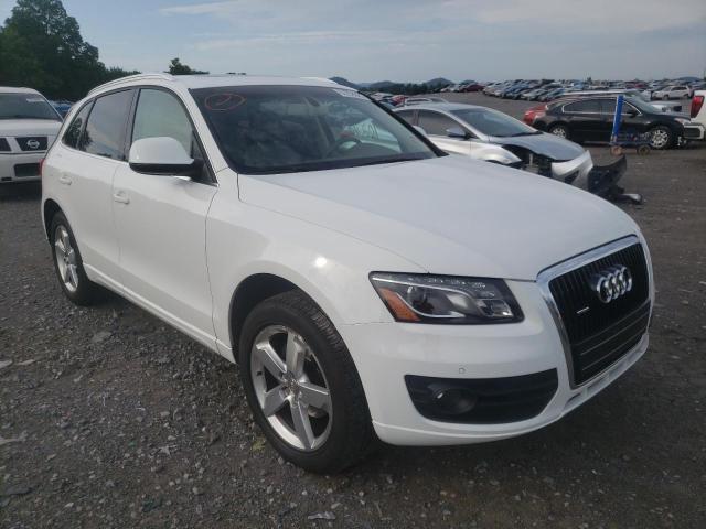 AUDI Q5 PREMIUM 2010 with VIN WA1LKAFP6AA045029 - Photo from auction