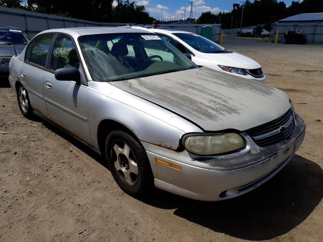 CHEVROLET MALIBU 2003 with VIN 1G1ND52J03M525448 - Photo from auction