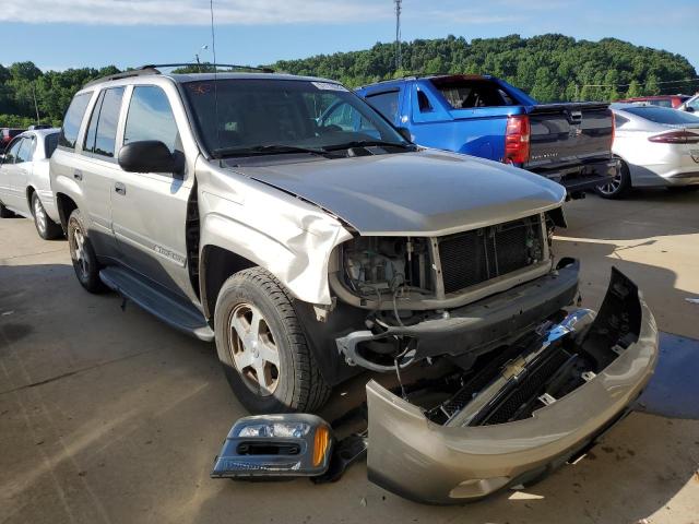 CHEVROLET TRAILBLAZE 2002 with VIN 1GNDT13S022480423 - Photo from auction