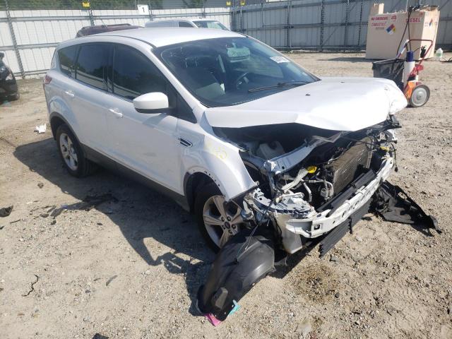 Photo 1 from auction – 2014 FORD ESCAPE SE with VIN 1FMCU0GXXEUA11250