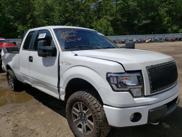 FORD F150 SUPER 2011 z numerem VIN 1FTFX1ET5BFC16781 - Zdjęcie z aukcji