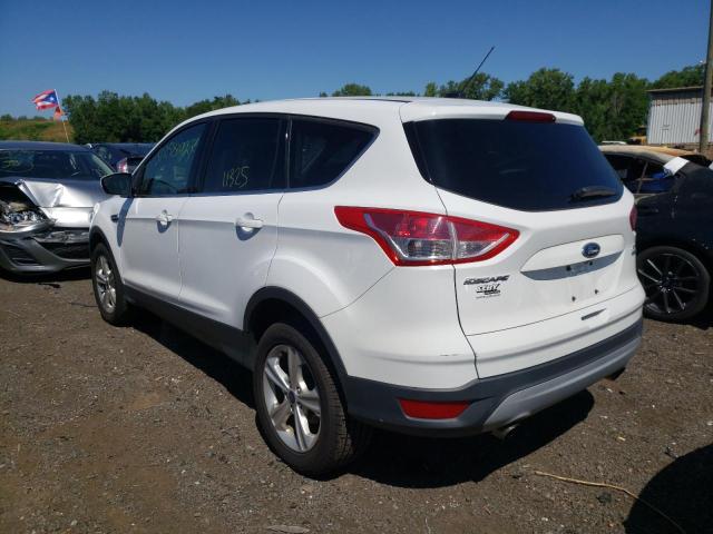 Photo 3 from auction – 2014 FORD ESCAPE SE with VIN 1FMCU9GX3EUD88667