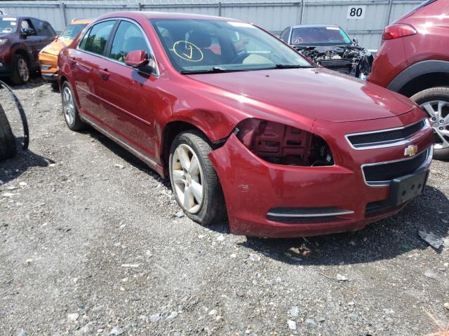 CHEVROLET MALIBU 2LT 2010 with VIN 1G1ZD5EBXAF247696 - Photo from auction