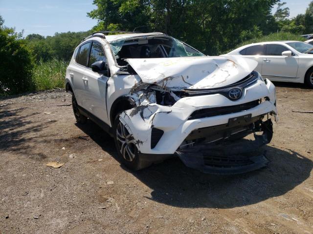 TOYOTA RAV4 LE 2017 with VIN 2T3ZFREV4HW317575 - Photo from auction